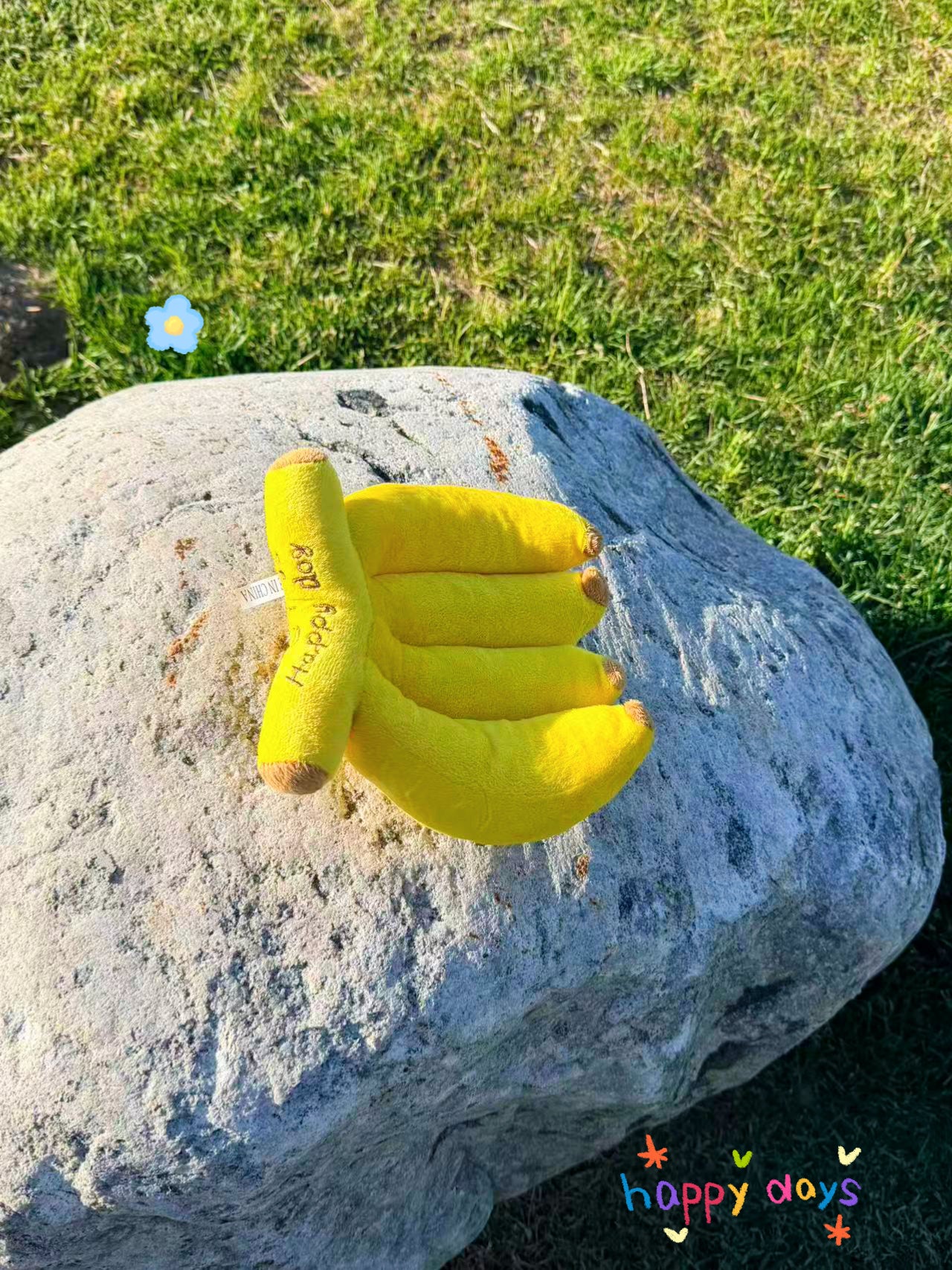 Happy Banana Bunch Squeaker