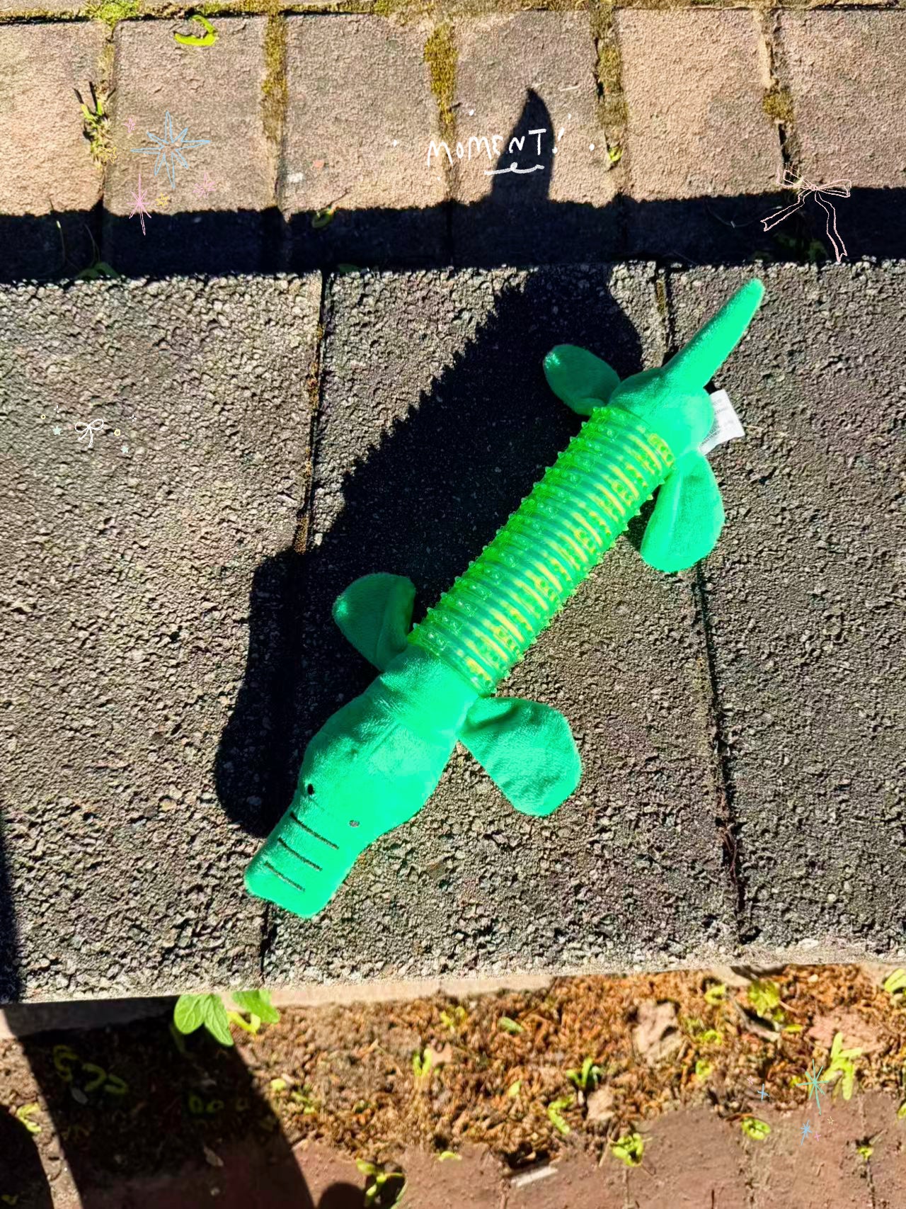 SpikeChew TPR Interactive Plush