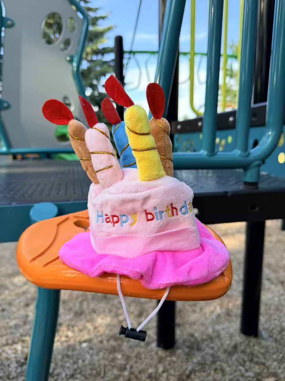 Birthday Cake Pet Hat