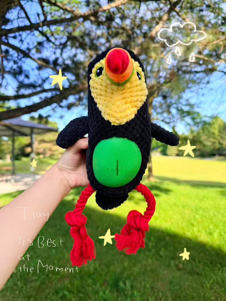 3-in-1 Interactive Tropical Bird
