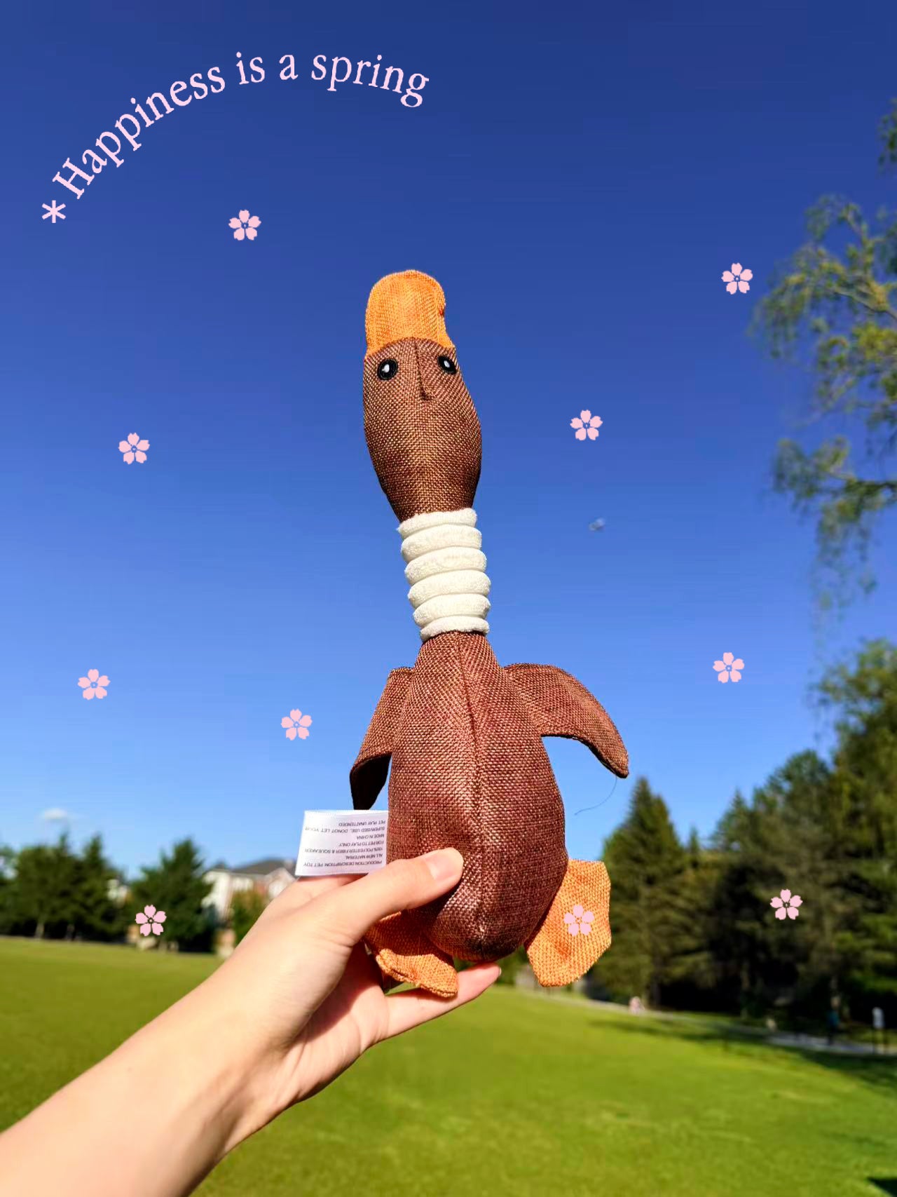 HonkFeather Dual-Squeaker Wild Goose