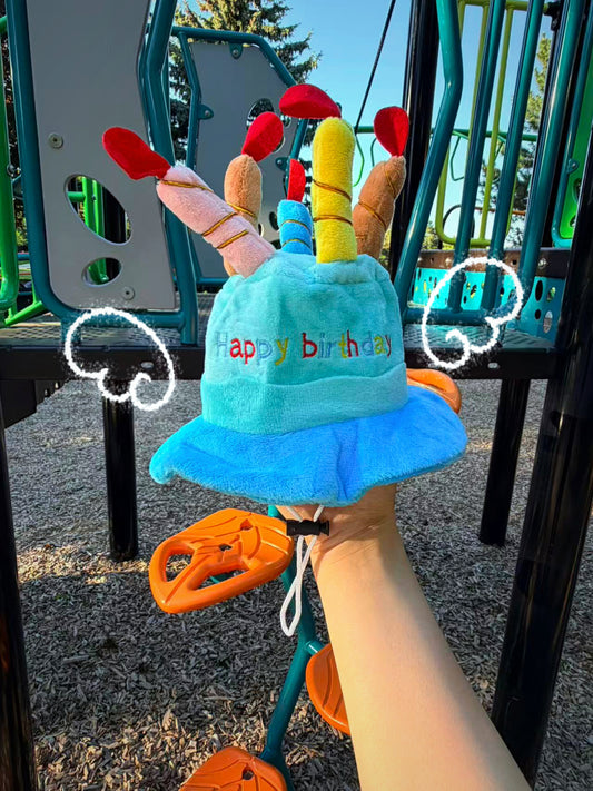 Birthday Cake Pet Hat