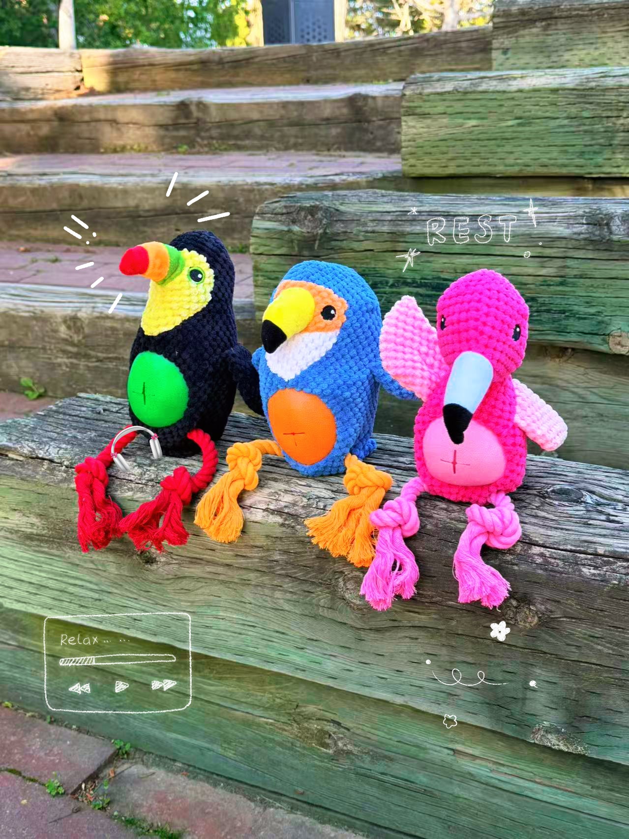 3-in-1 Interactive Tropical Bird