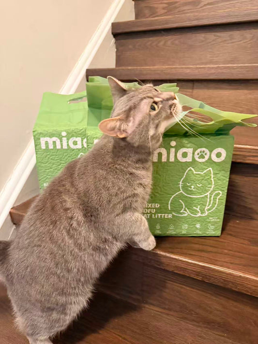 Cat Litter